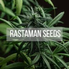 Логотип компании Rastaman-seeds.com.ua
