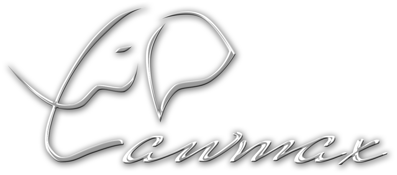 ООО Юридическая Компания ЛОМАКС Логотип(logo)