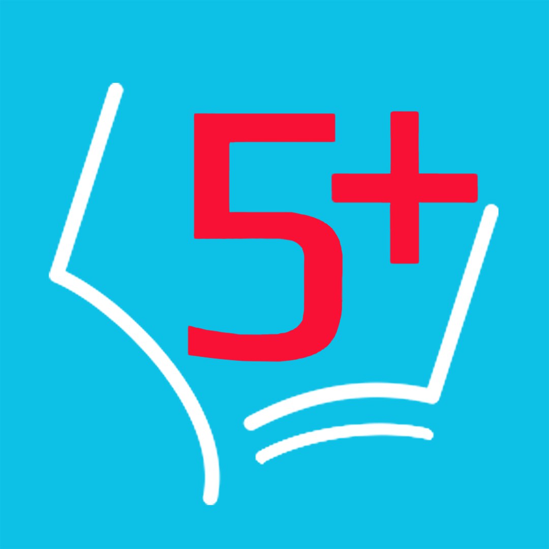 Компания решение 5+ Логотип(logo)