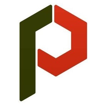 Интернет-магазин “Респираторы с доставкой” Логотип(logo)