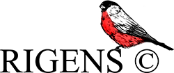РИГЕНС Логотип(logo)