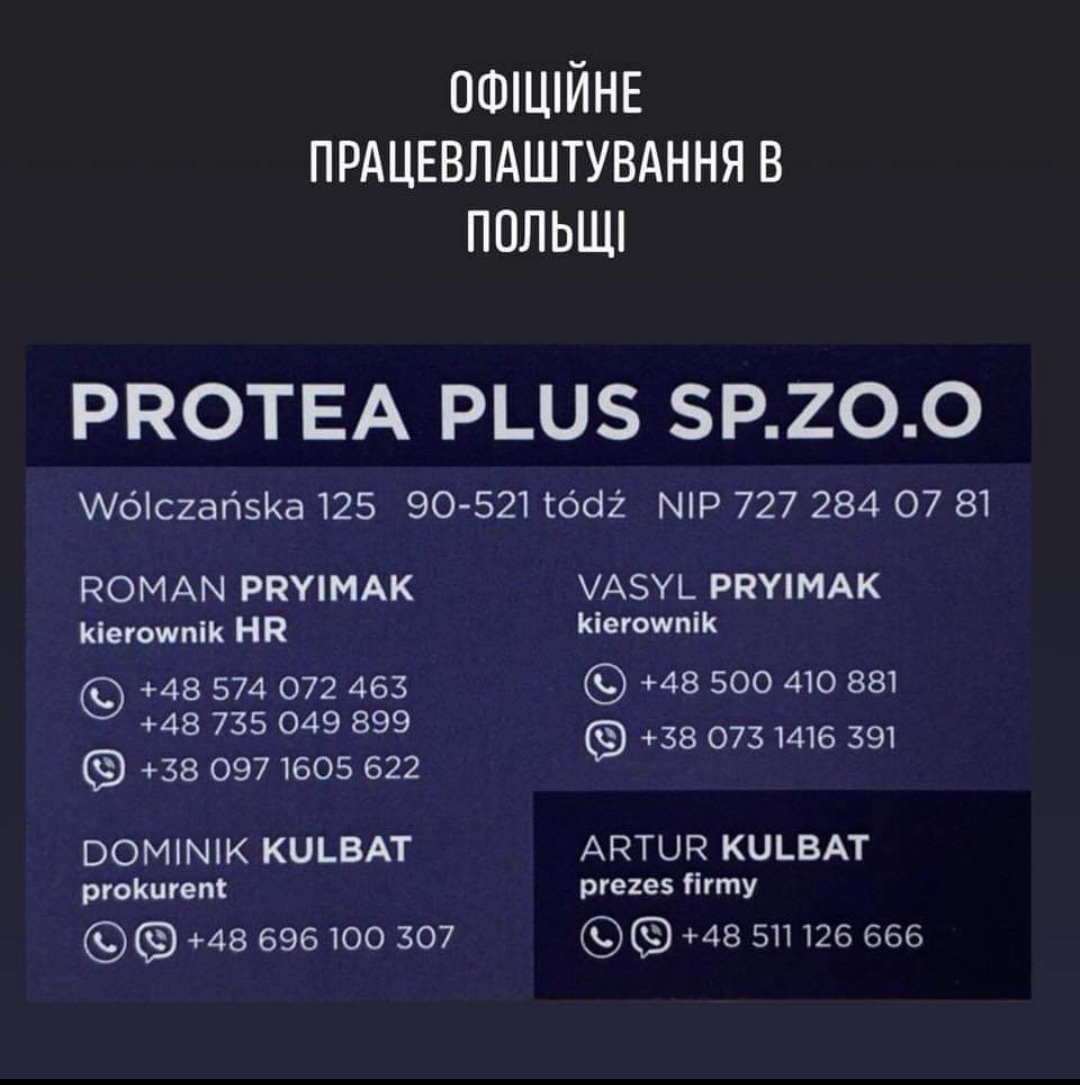 Логотип компании Protea Plus