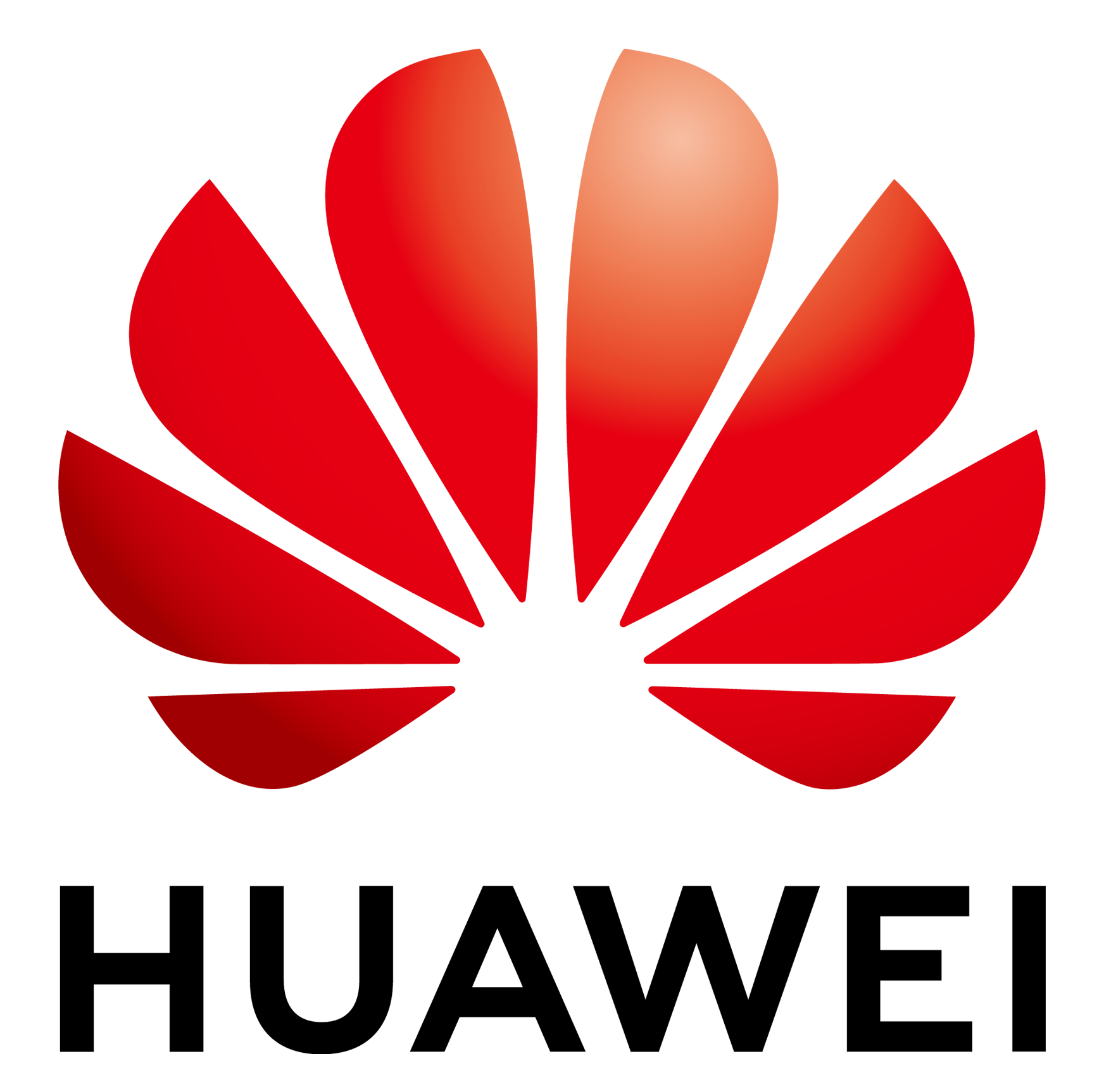 Huawei Technologies Co. Ltd Логотип(logo)