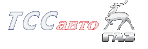 Интернет-магазин ТСС АВТО: запчасти, детали на ГАЗели в Н.Новгороде Логотип(logo)